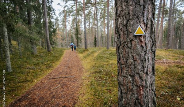 AdobeStock_1050961610_Preview